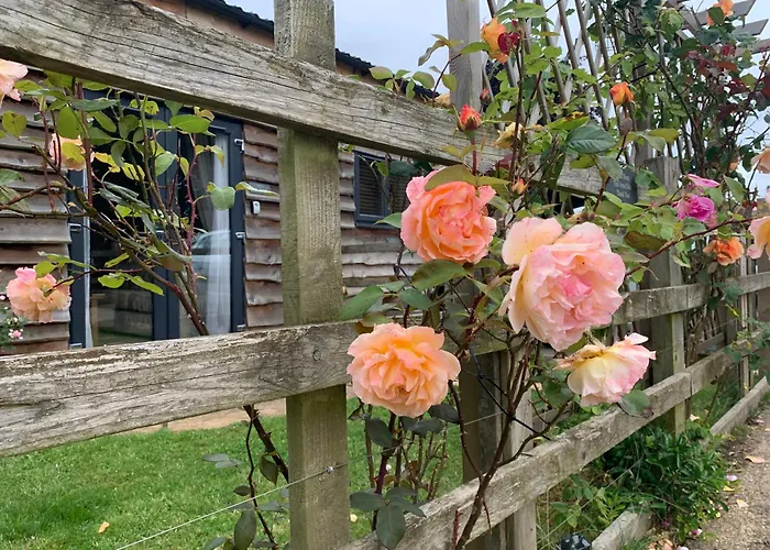 The Barn At White Rose Cottage