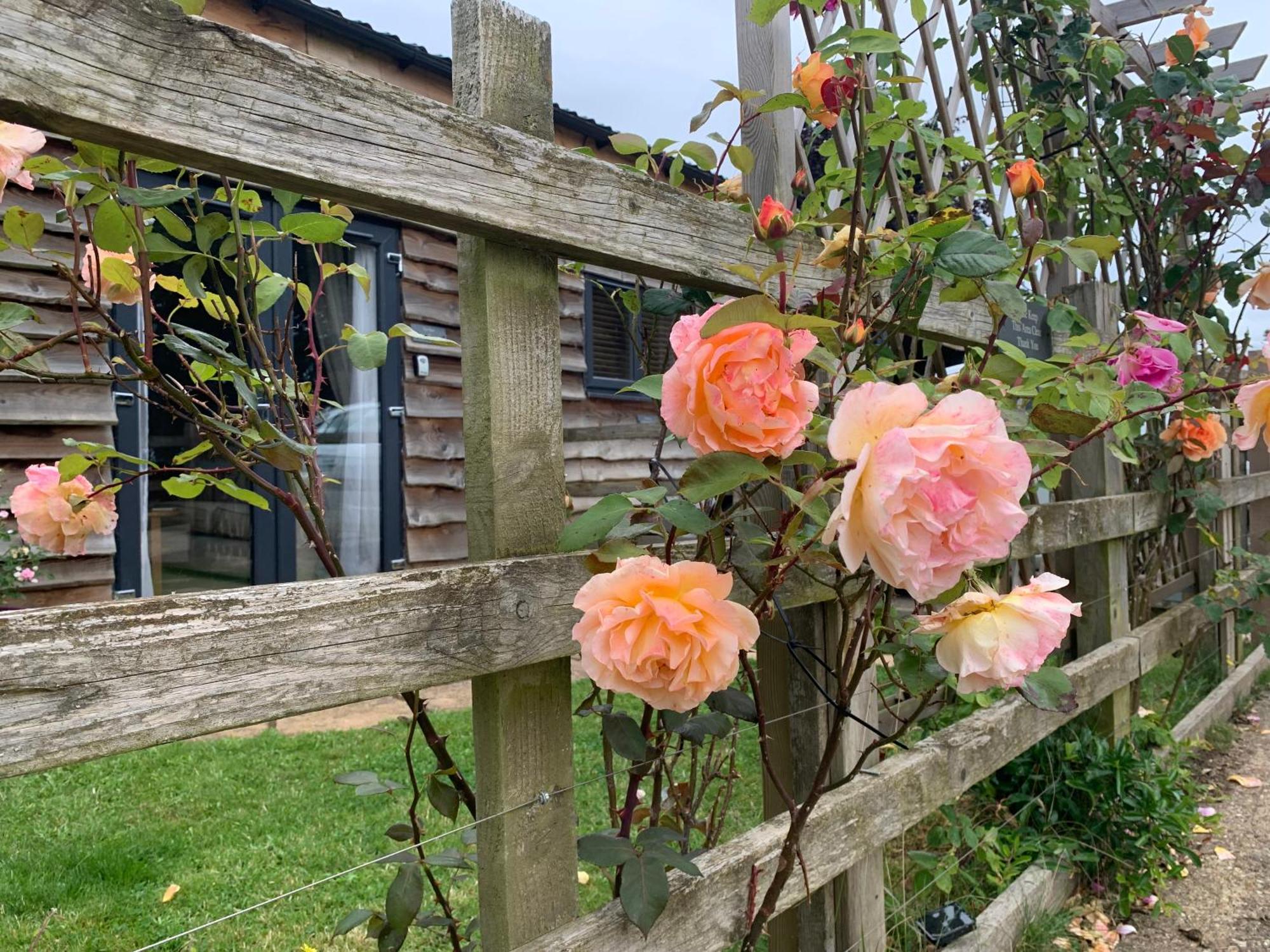 The Barn At White Rose *